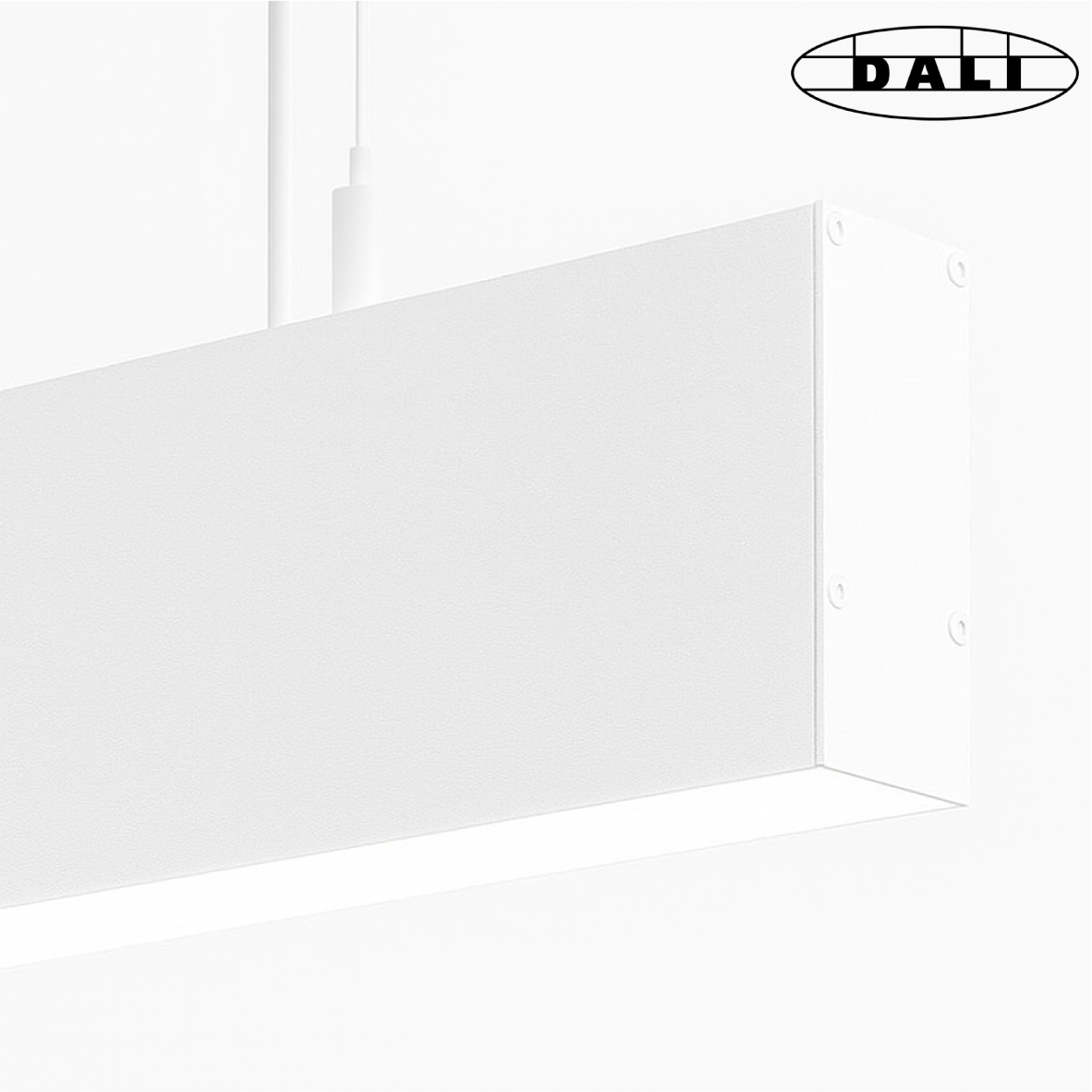 Suspension lumineuse design Congo - Luminaire DALI