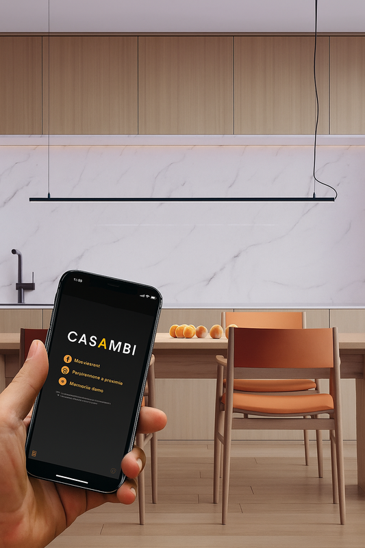 Suspension linéaire HCL en aluminium Bakoy