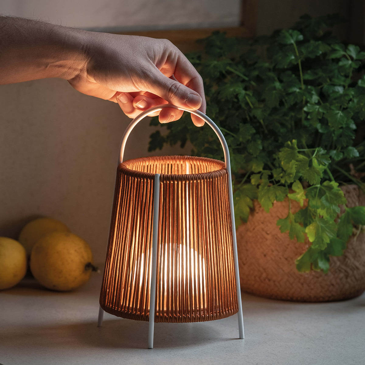 lampe-de-table-naturelle-ultimlux
