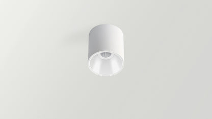 Spot Shot Light Surface S Dali Push